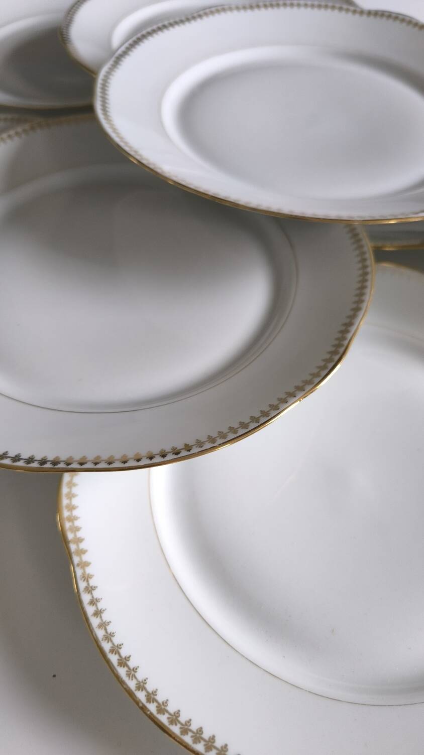 Set of 10 porcelain flat plates