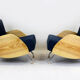 Mid-century r-360 ash armchairs by Janusz Różański, 1960s, Set of 2