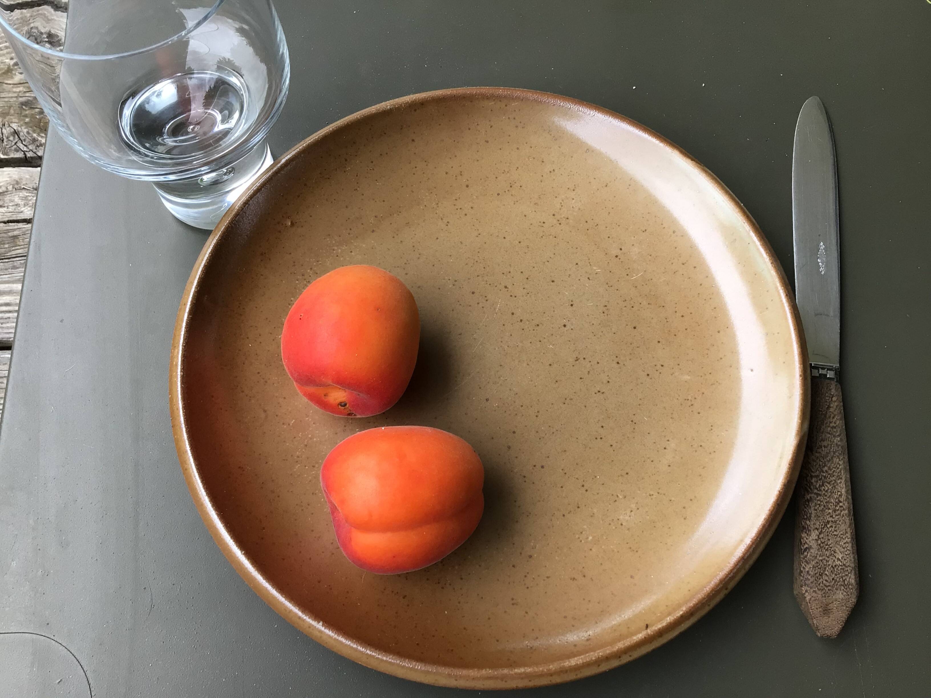 9 Brenne Stoneware Dinner Plates