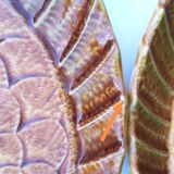 Assiettes vintages, Poissons en barbotine