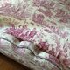 Bed in Polish canopy canvas of Jouy Louis XVI style