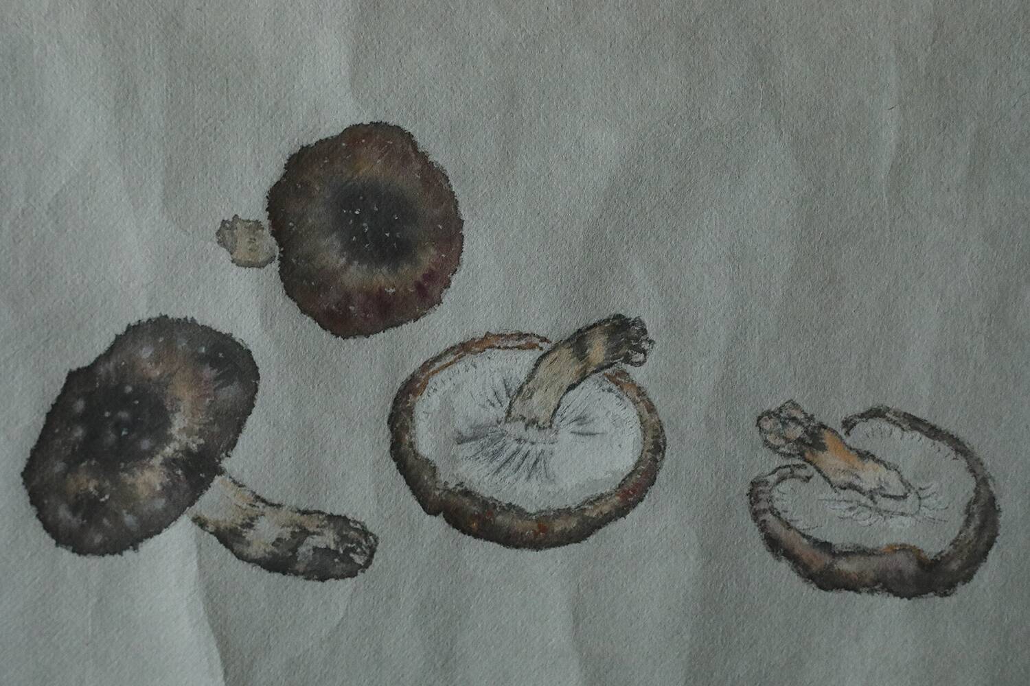 Japanese painting, Svampar, Mixed technique on artistic fabric, Denmark