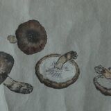 Japanese painting, Svampar, Mixed technique on Artistic Fabric, Denmark