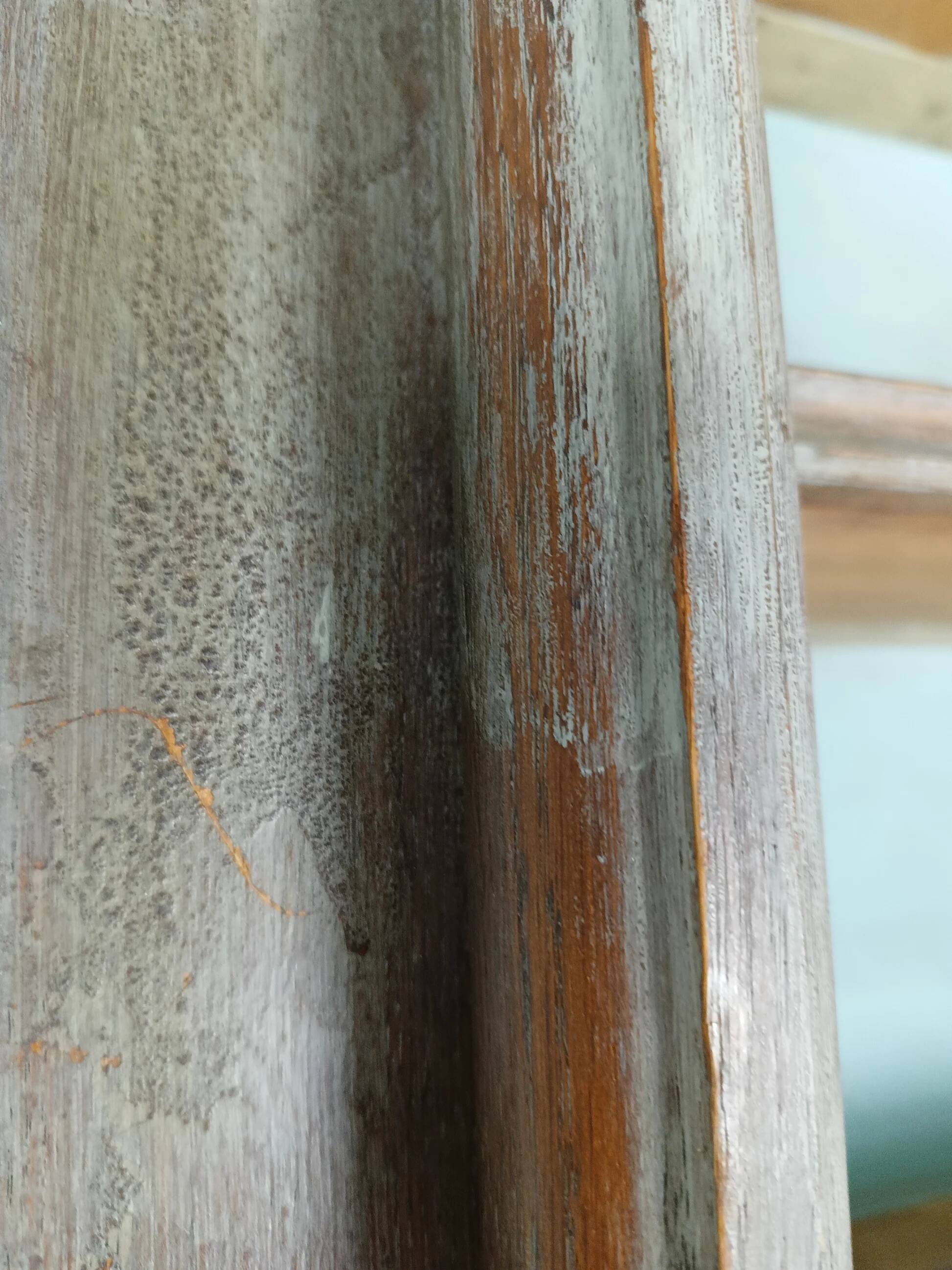 Antique large bookcase