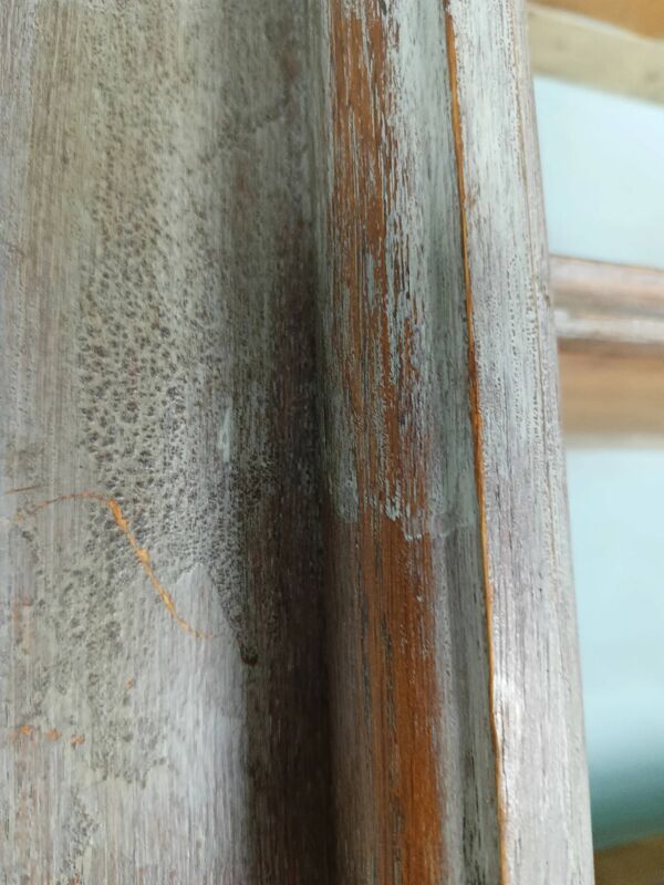 Grande bibliothèque ancienne