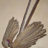 Ornithological Plate Buffon 1838 "the Argus"