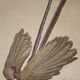 Ornithological Plate Buffon 1838 "the Argus"