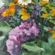 Tableau bouquet de fleurs