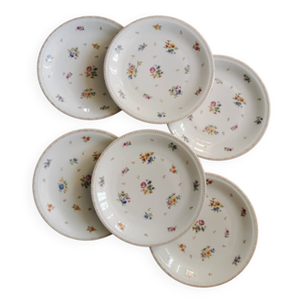 Vintage Limoges porcelain dinner plates