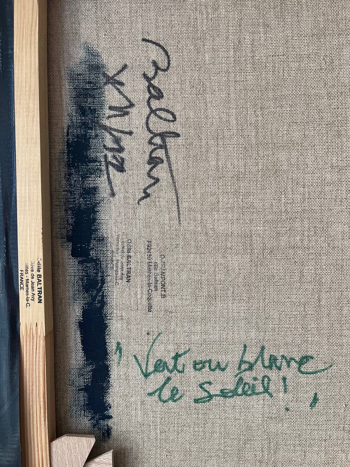 “Green or white, the sun?” Oil on canvas, signed Baltran