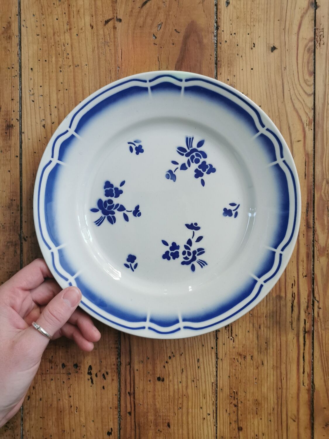 Blue Badonviller retro plates