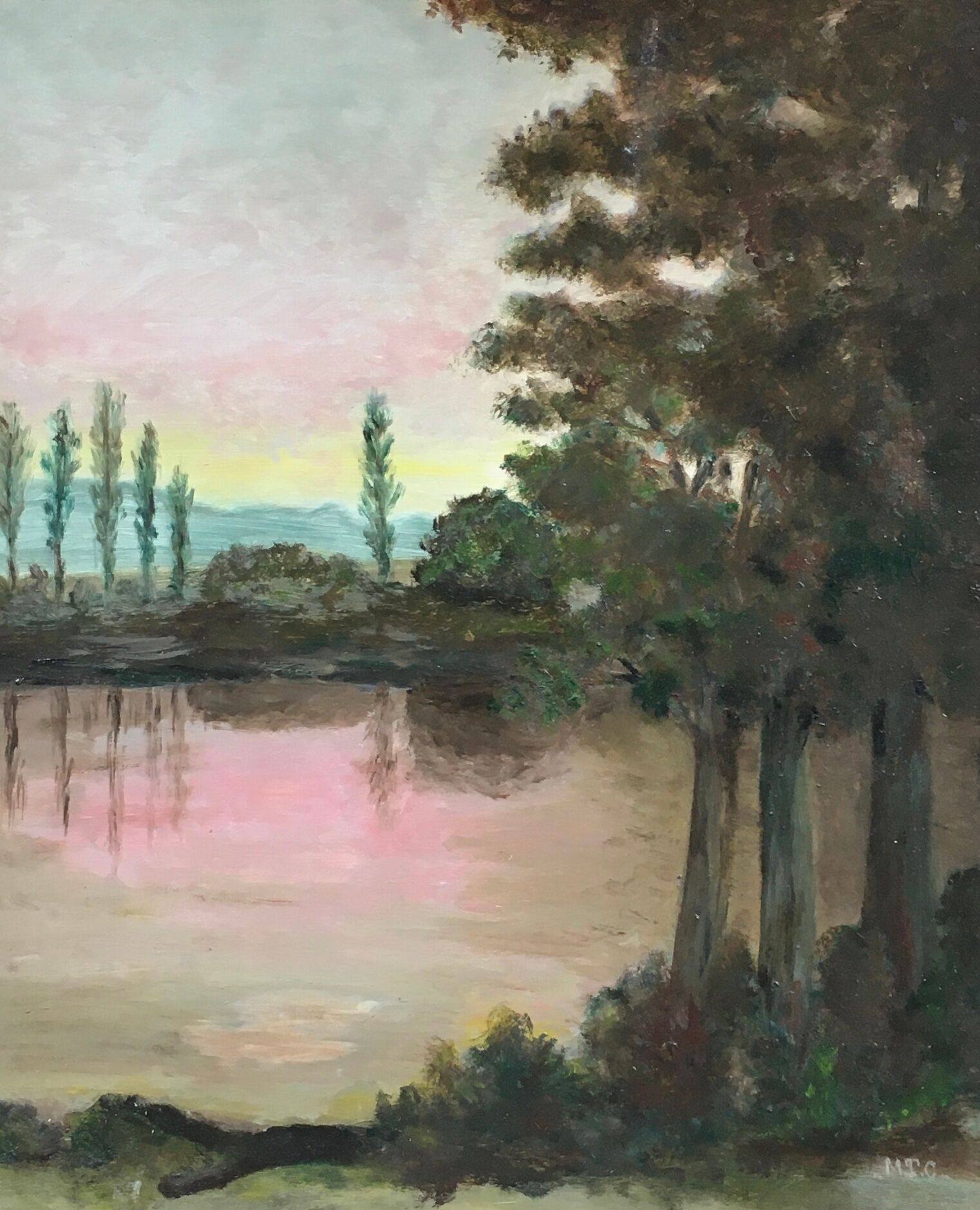 Pink lake painting
