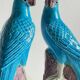Pair of phenix birds chinese porcelain early 20th century