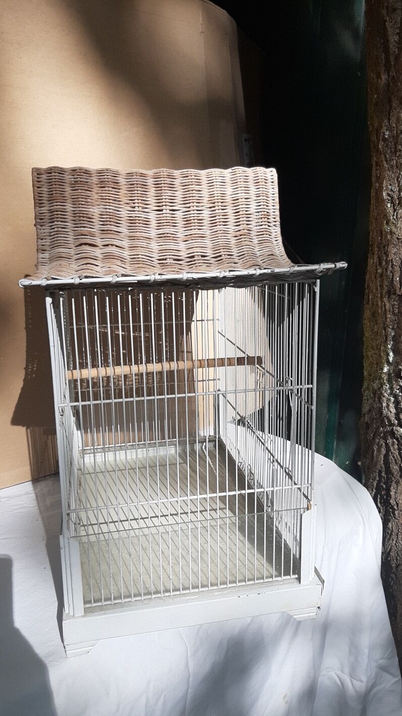 Iron and wicker bird cage
