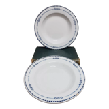 Hollow earthenware plates Iron Earth, Russia