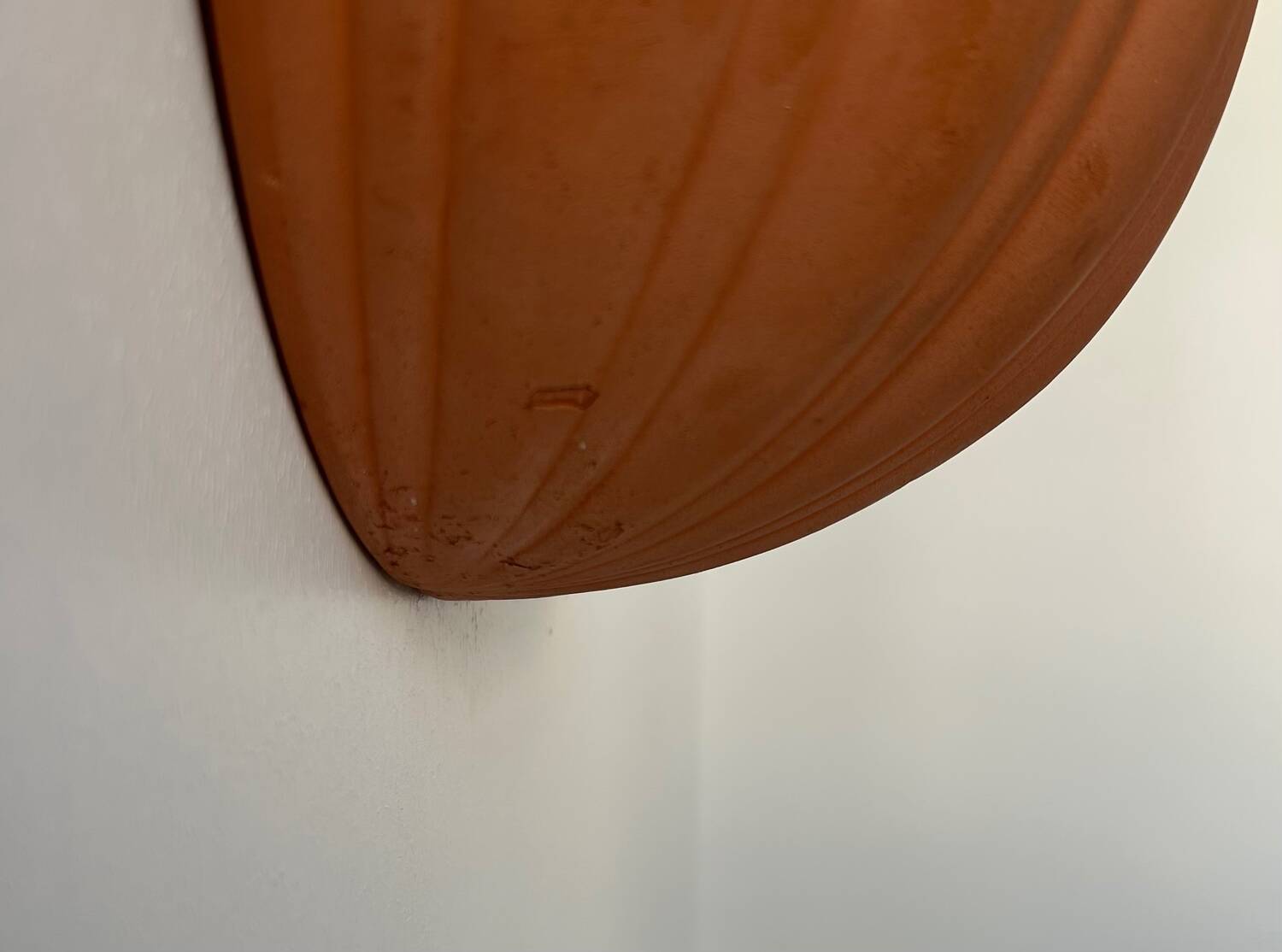 Vintage terracotta shell wall light, France 1960s