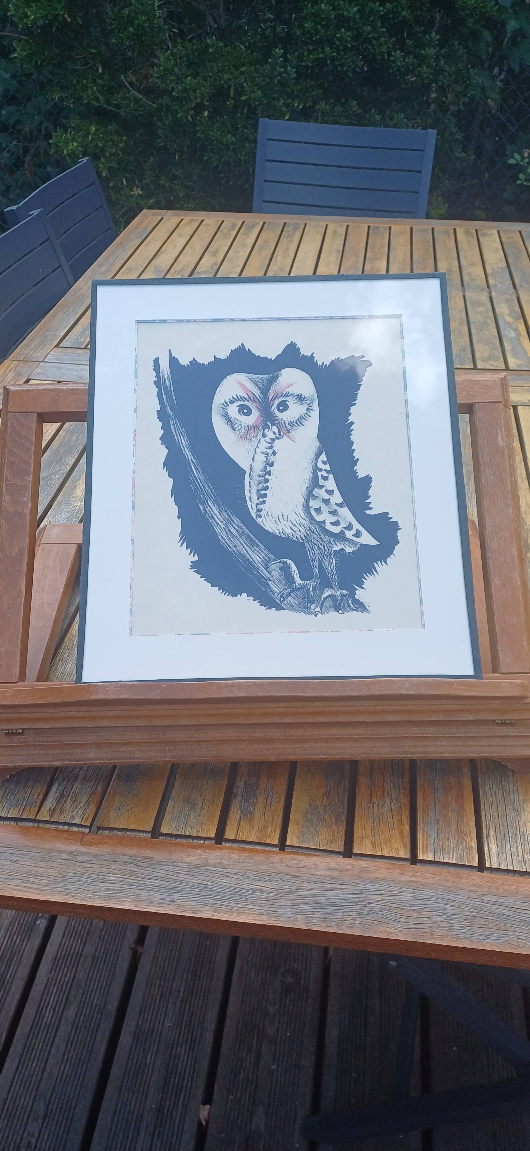 Jean Lurçat Lithographie  Chouette de Bonne espérance