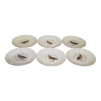 6 assiettes plates Gien Marly "oiseaux des forêts"