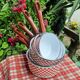 5 sitram “vichy” enameled saucepans