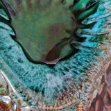 Plat zoomorphe poissons style Vallauris