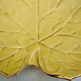 Trinket plate plane tree leaf