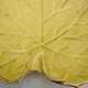 Trinket plate plane tree leaf