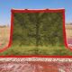 Moroccan Berber rug in green and red 300x200 cm – handmade rug