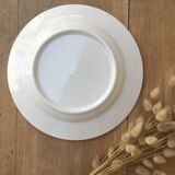 Blue pink plates