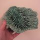 Duo dish dish in Sarreguemines cabbage leaf slip