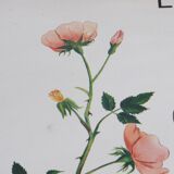 Displays educational Nightingale  l'eglantier and peas