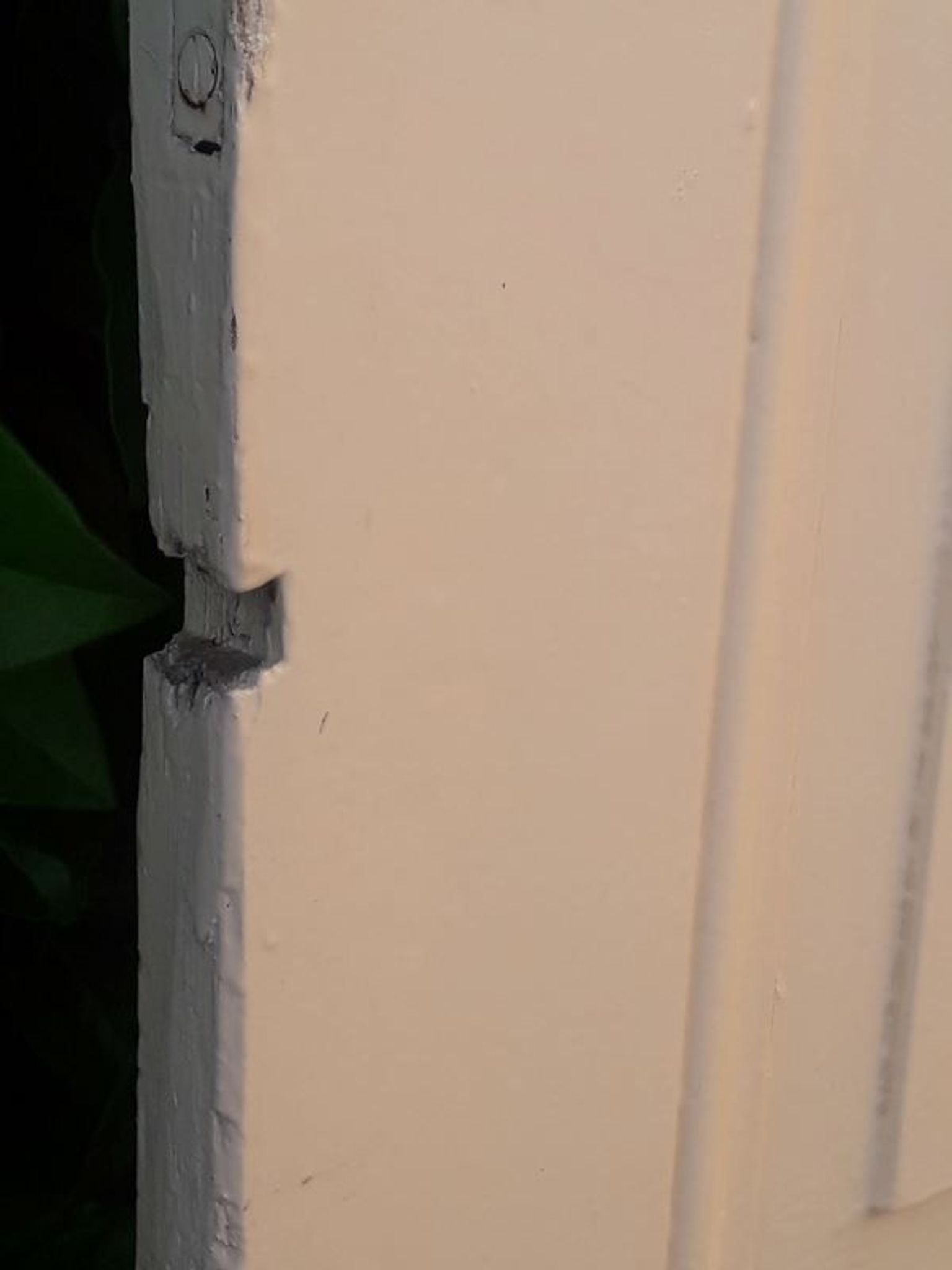 Porte 229,2x79,2cm de placard ancienne