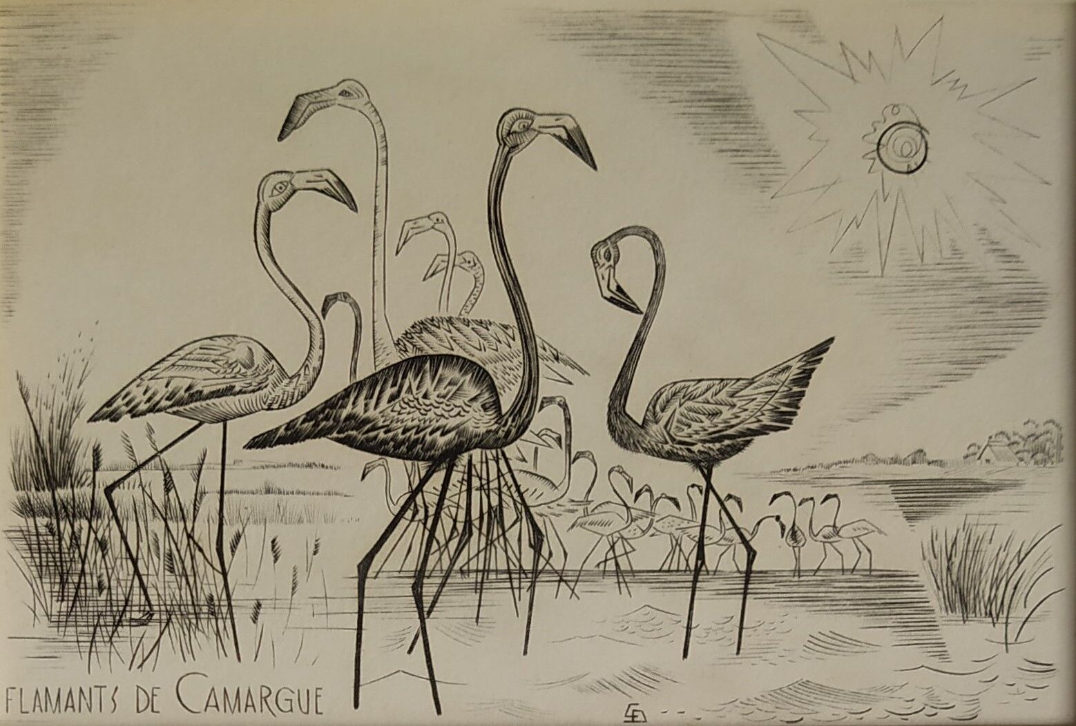 Engraving " flamands de camargue " 1950's