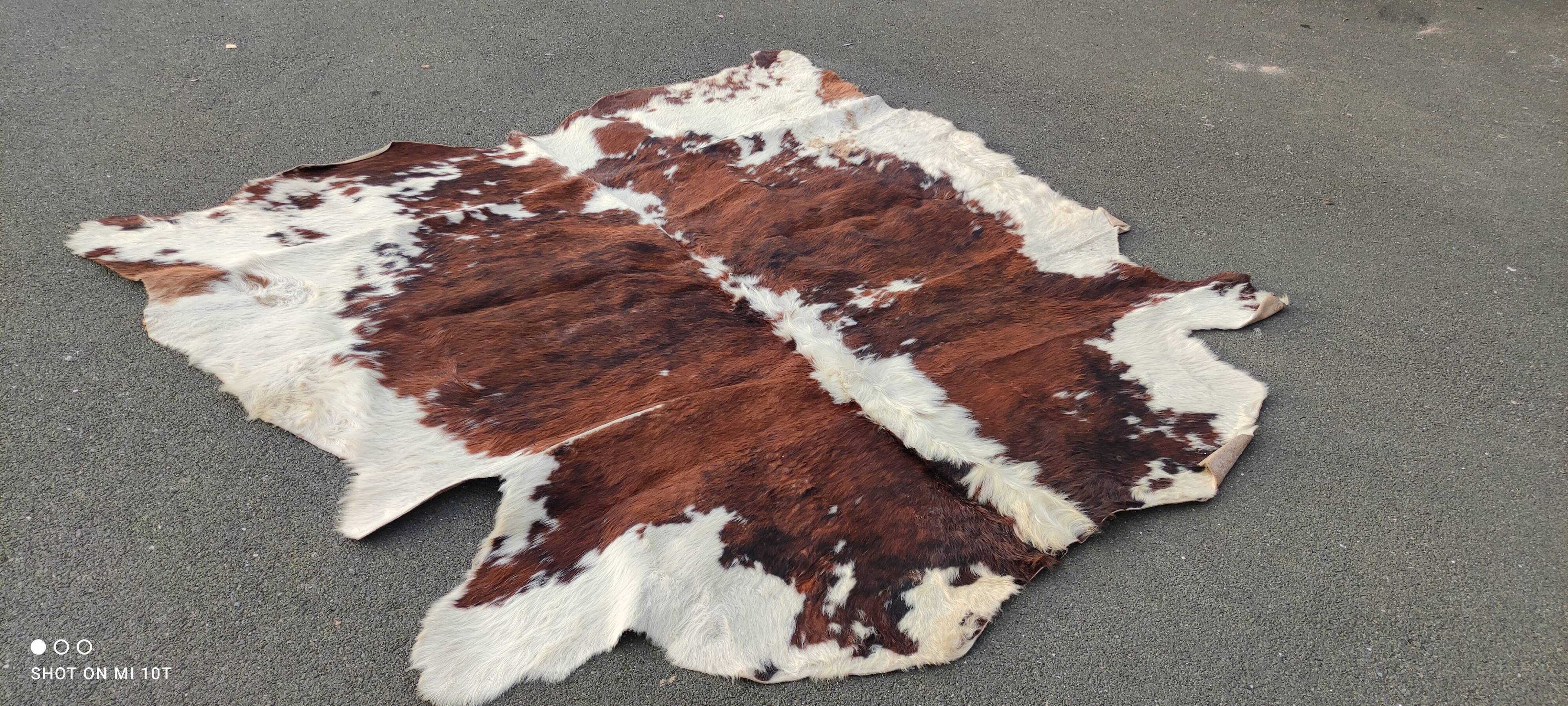 Vintage cowhide rug