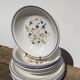 Plate service 6 people Moulin des loup décor grand feu
