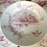 Set of 9 red earthenware plates from Terre de Fer Samaritaine - 19th century.
