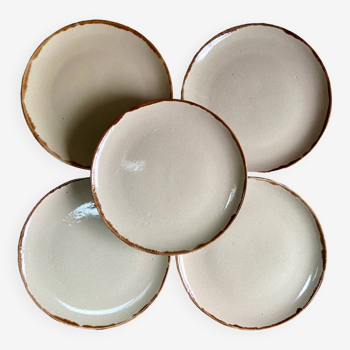 5 stoneware plates