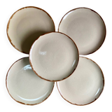 5 stoneware plates