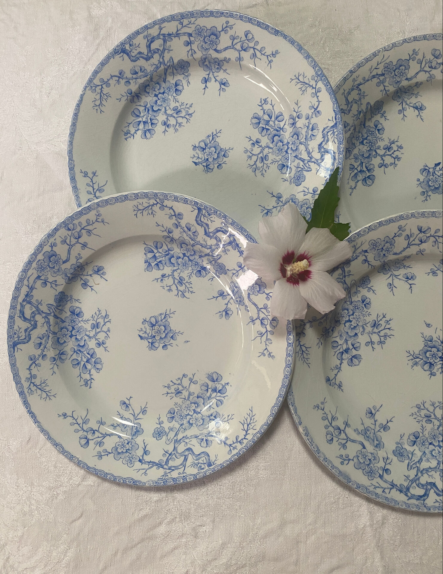 Lot de 4 assiettes plates modèle Fleurette de Gien