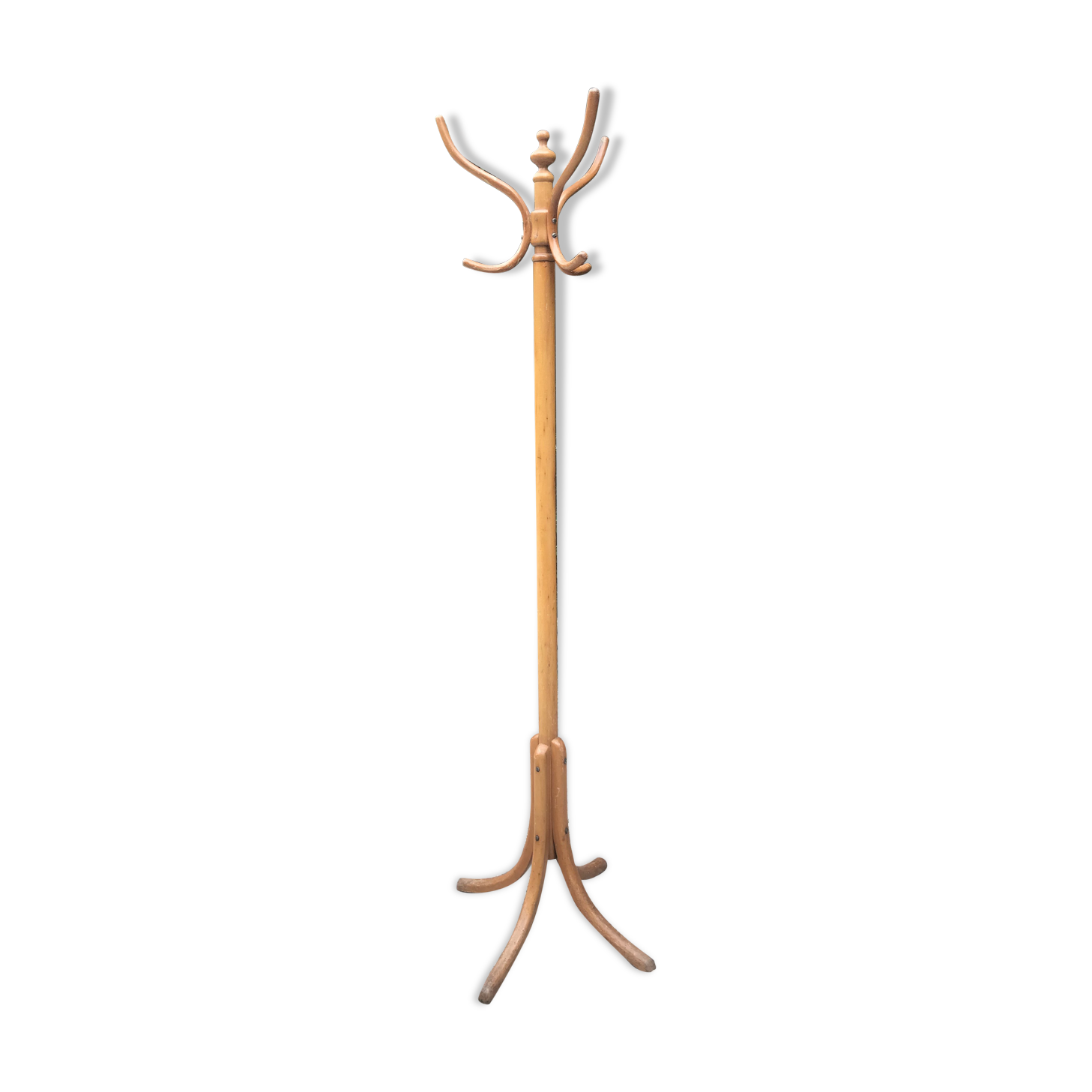 Parrot coat holder
