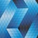 Victor Vasarely Serigraphy op art Editions du Griffon