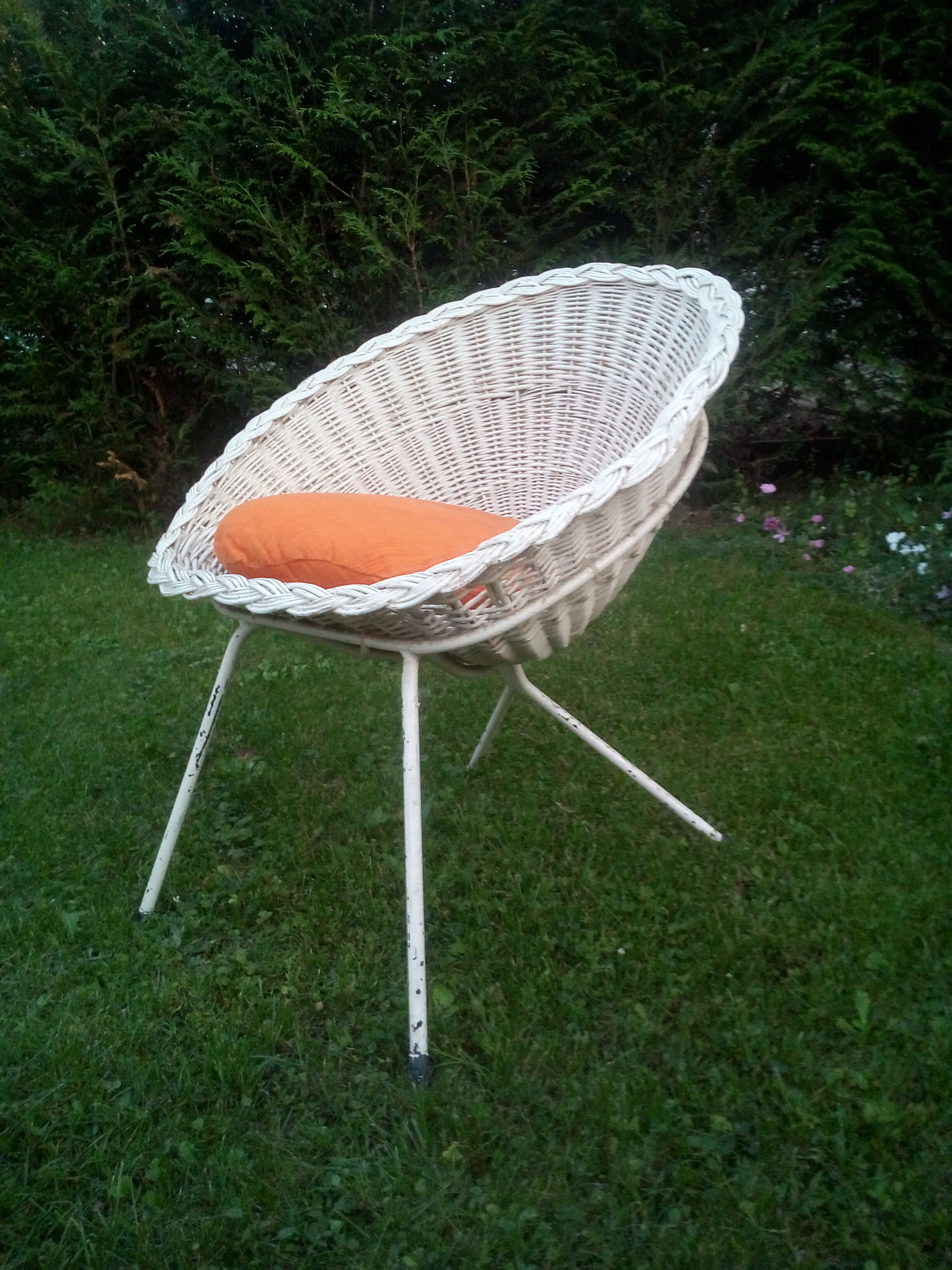Rattan shell chair