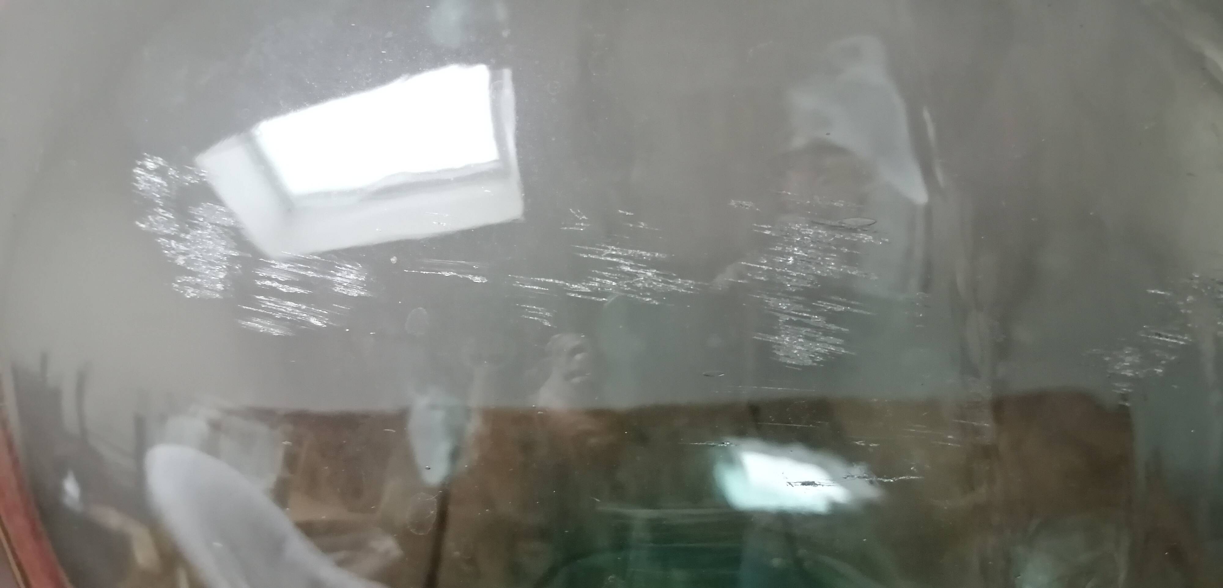 DAME JEANNE GREEN VIRESA 16 L