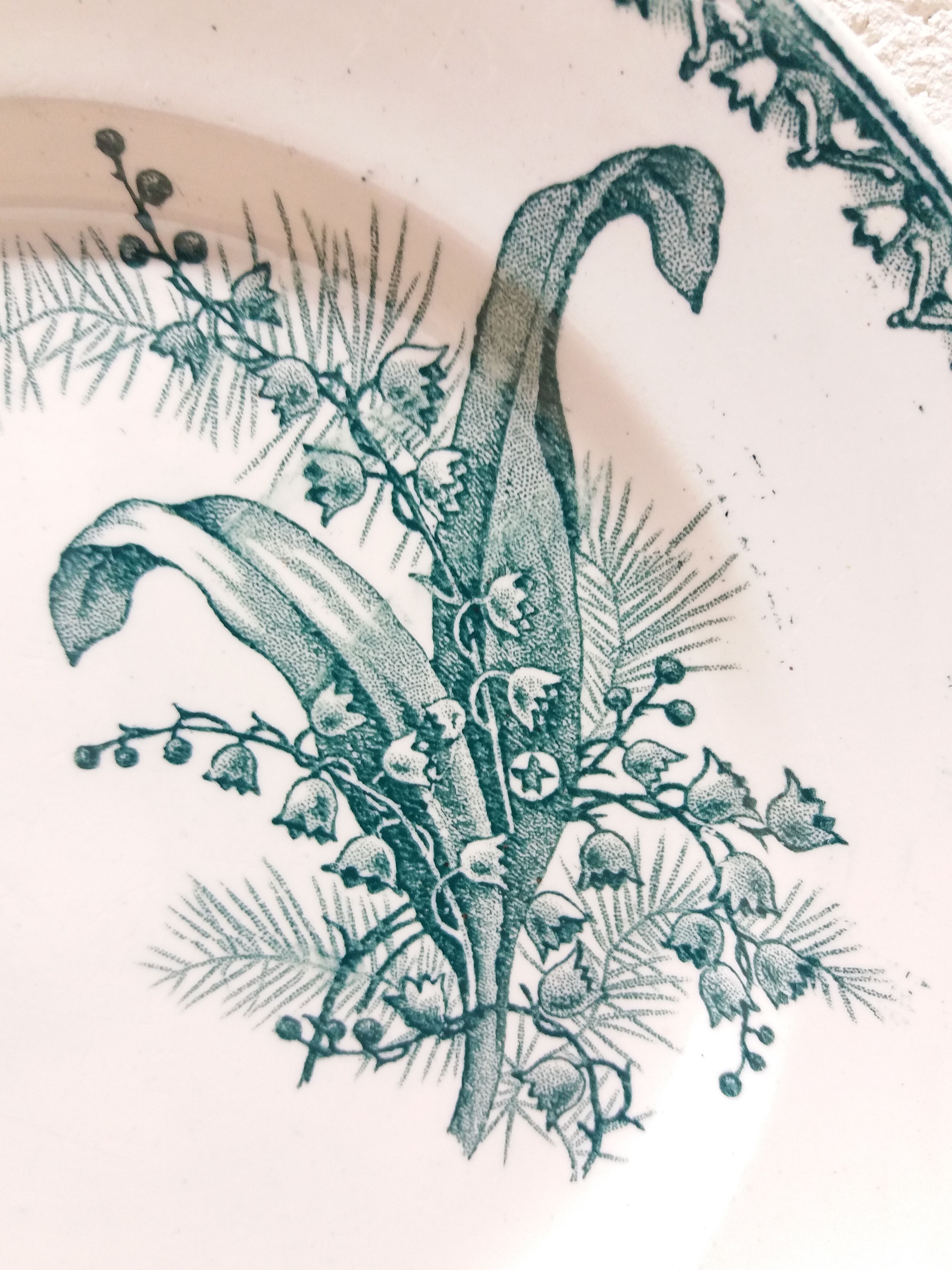 Flat plate Iron Earth Muguet