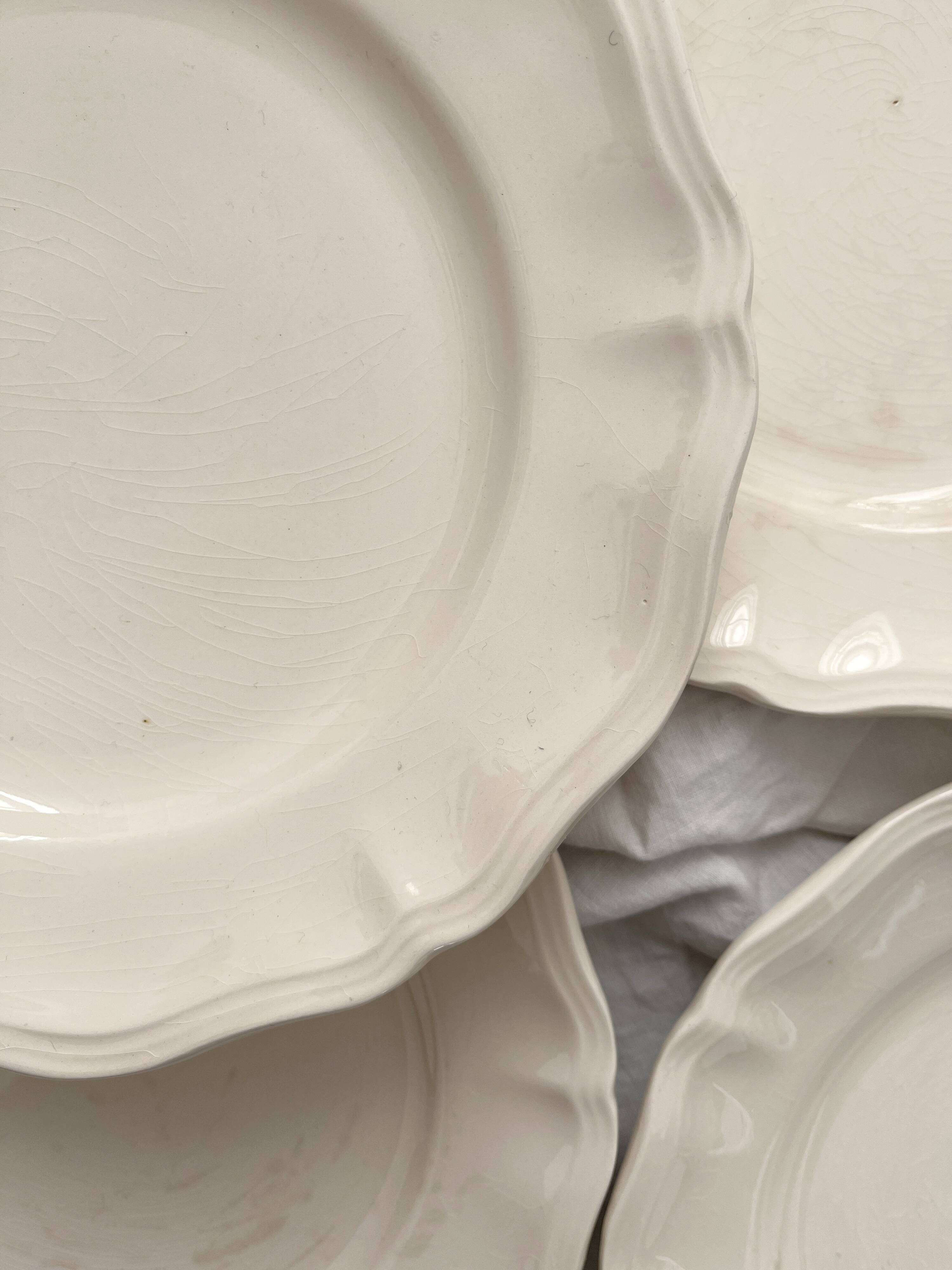 5 Sarreguemines ivory scalloped earthenware dinner plates