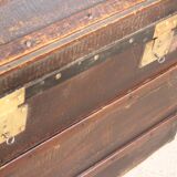 Large old curved trunk