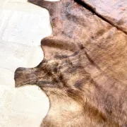 Texas cowhide rug, 1970