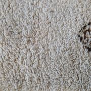 Vintage Moroccan wool rug