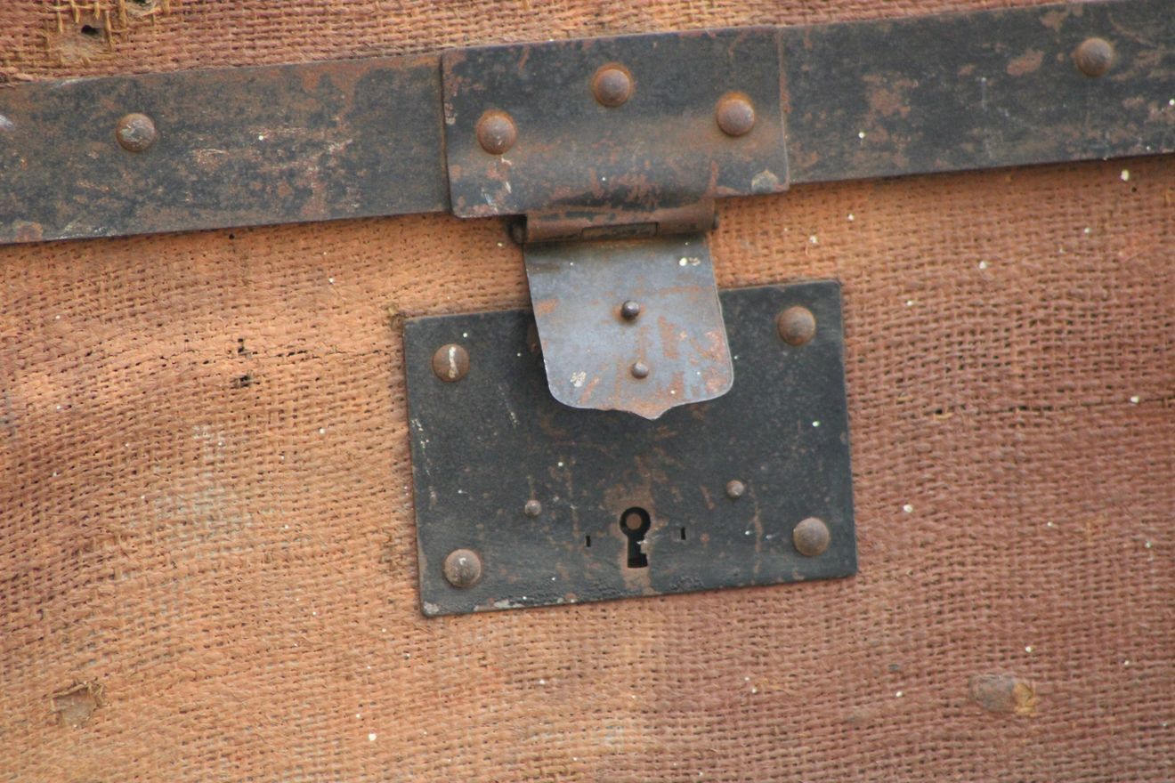 Old trunk