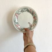 Parrot Tableware Staffordshire England Dessert Plates 1980s
