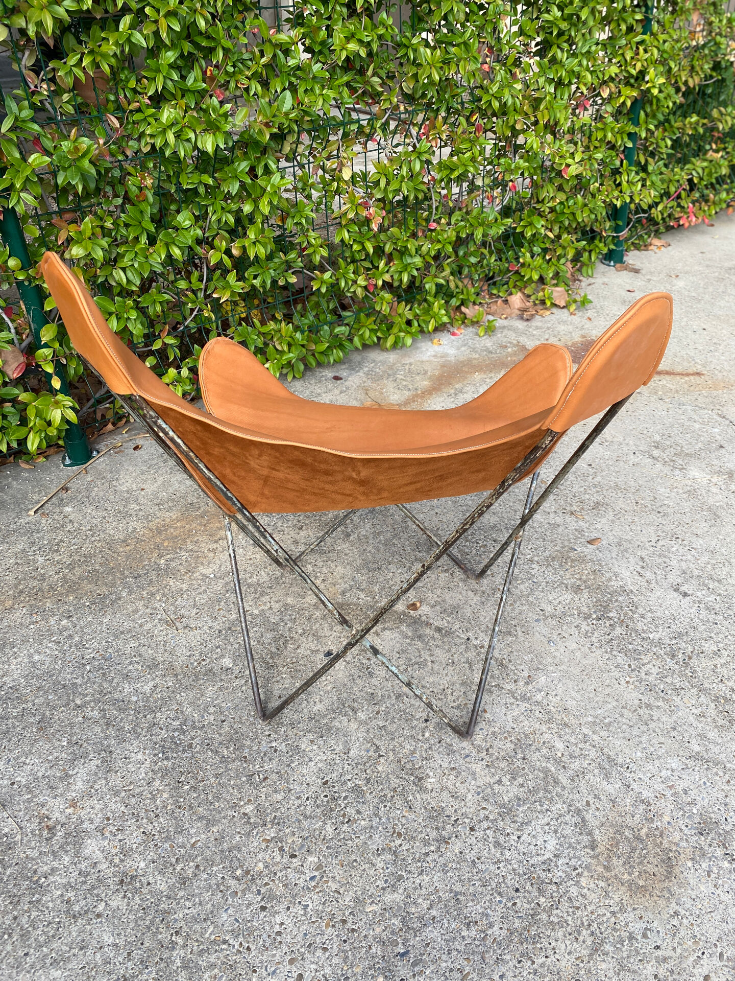 Fauteuil AA Butterfly pour Airborne 1950 en cuir